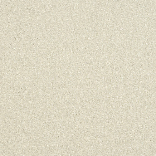 Stainfree Excellence 40oz White Whisper 4.00m x 3.05m