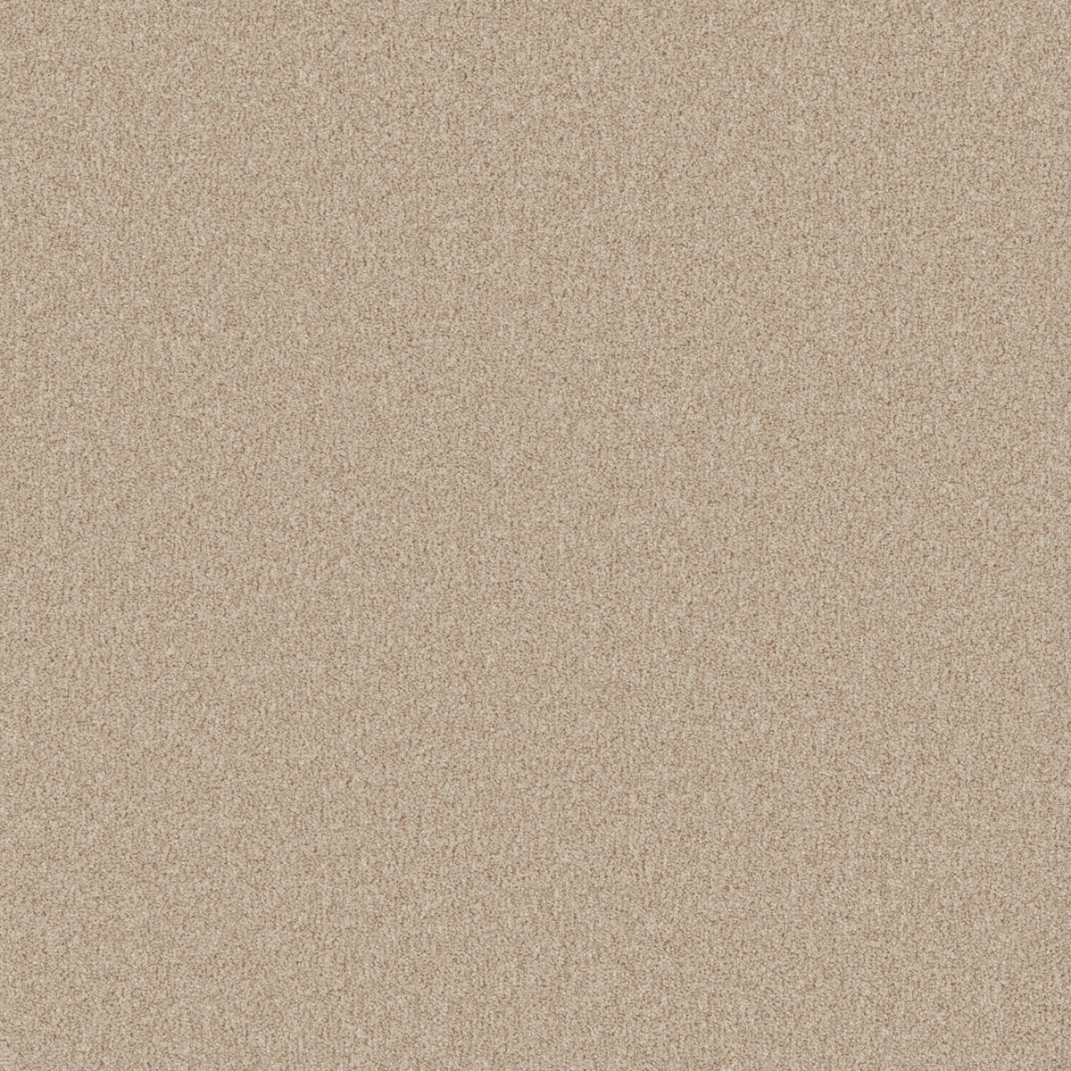 Rusticana 40z Wild Honey 4.00m x 2.57m