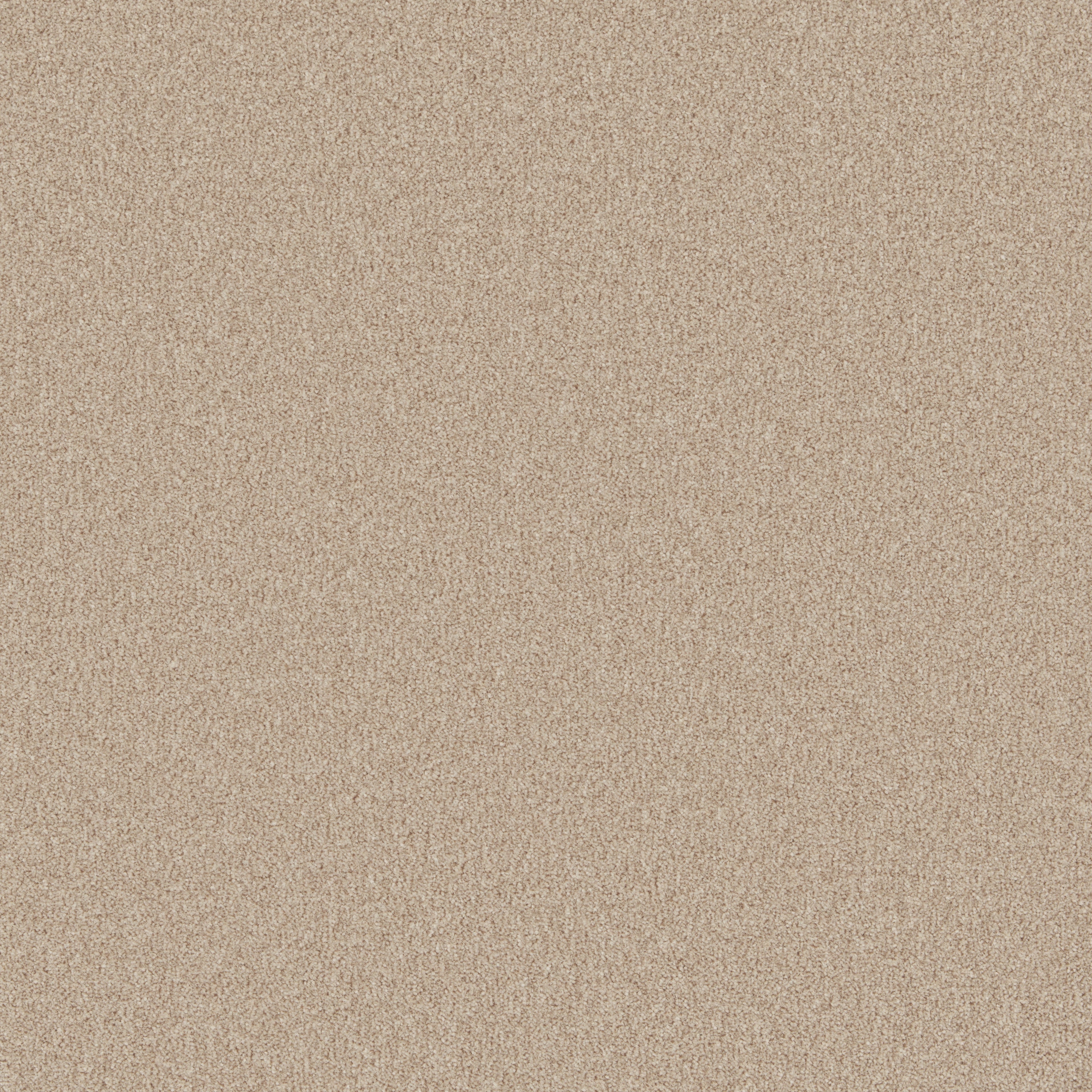 Rusticana 40z Wild Honey 4.00m x 3.76m