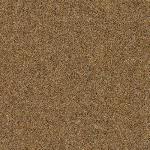 Shetland Berber Bracken