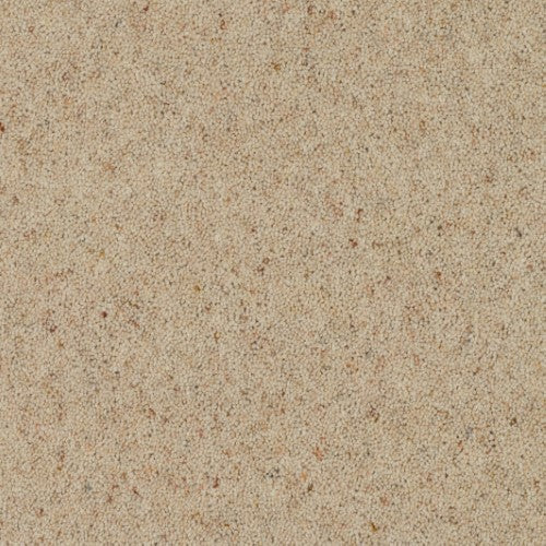 Shetland Berber Bright Skies Free Sample