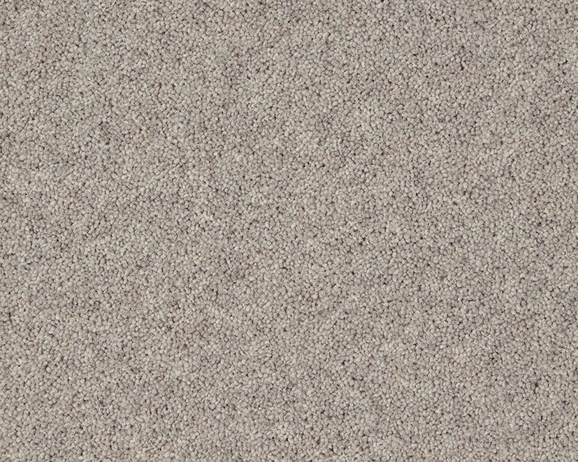 Carisbrooke Cheviot Cloud