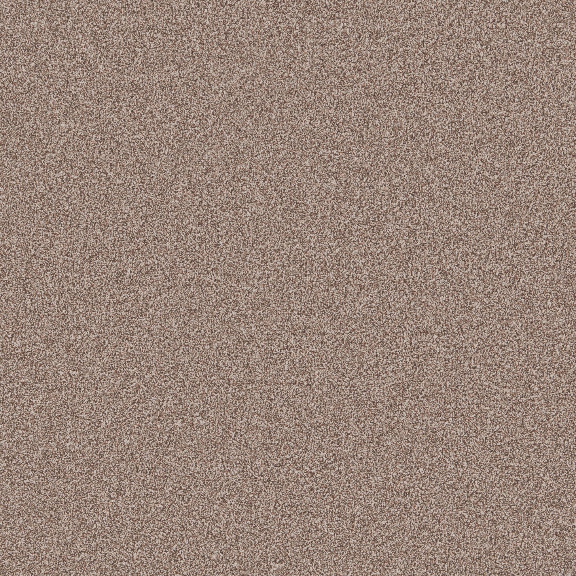 Rusticana Cortado Free Sample