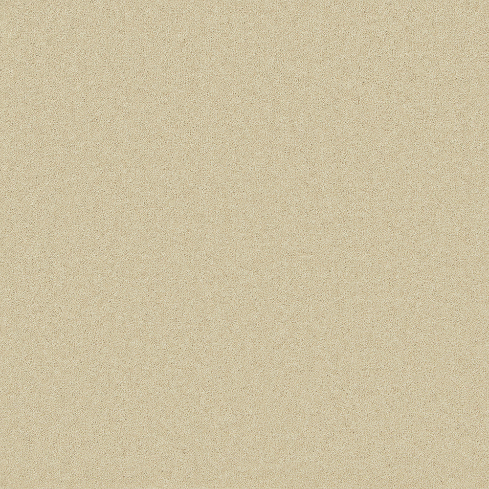 Tavistock Twist Egyptian Cotton 5.00m x 8.10m