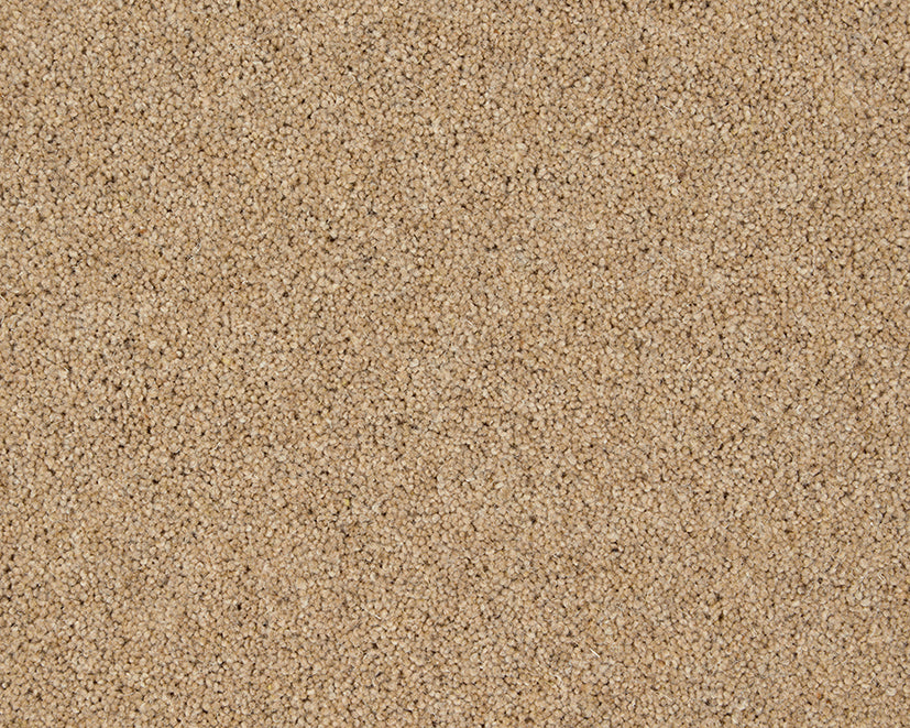 Carisbrooke Goldcrest