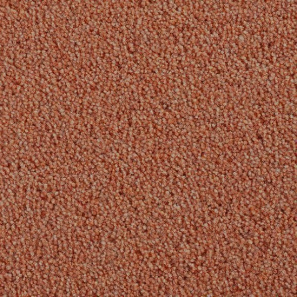 Dartmoor Berber Rustic Dawn