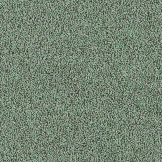 Mill Heather Ingleborough