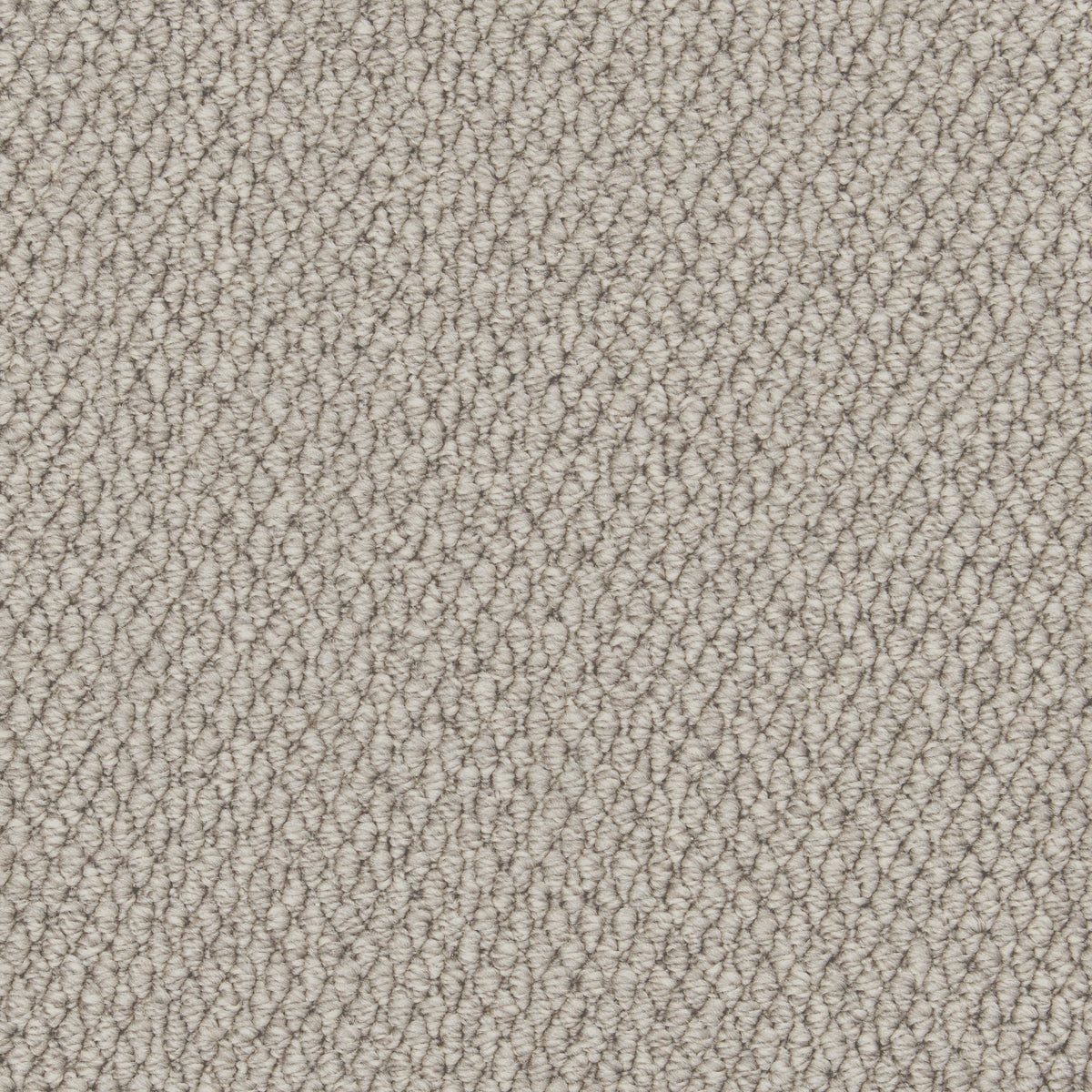 Rustic Charm 40z Moon Mist 4.00m x 3.85m