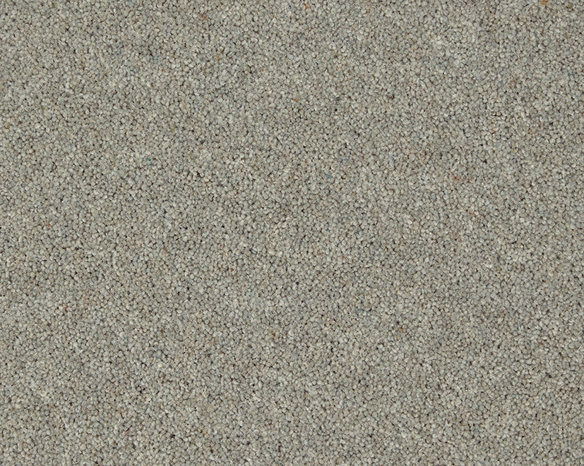 Carisbrooke Meadow Light