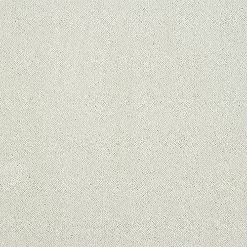 Indulgence 63oz Nimbus Cloud 4.00m x 3.84m