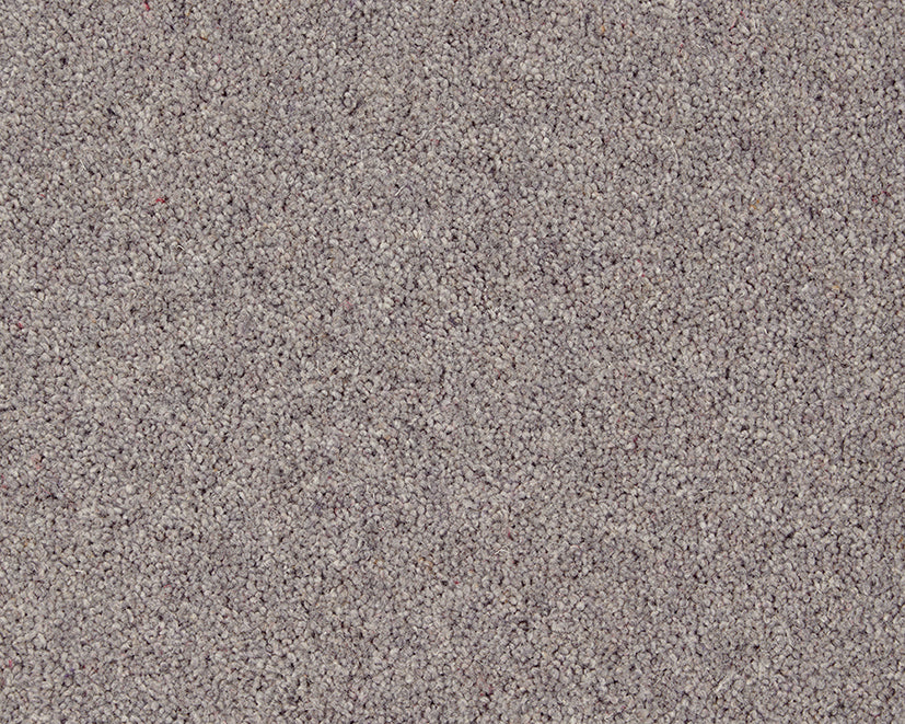 Carisbrooke Peregrine