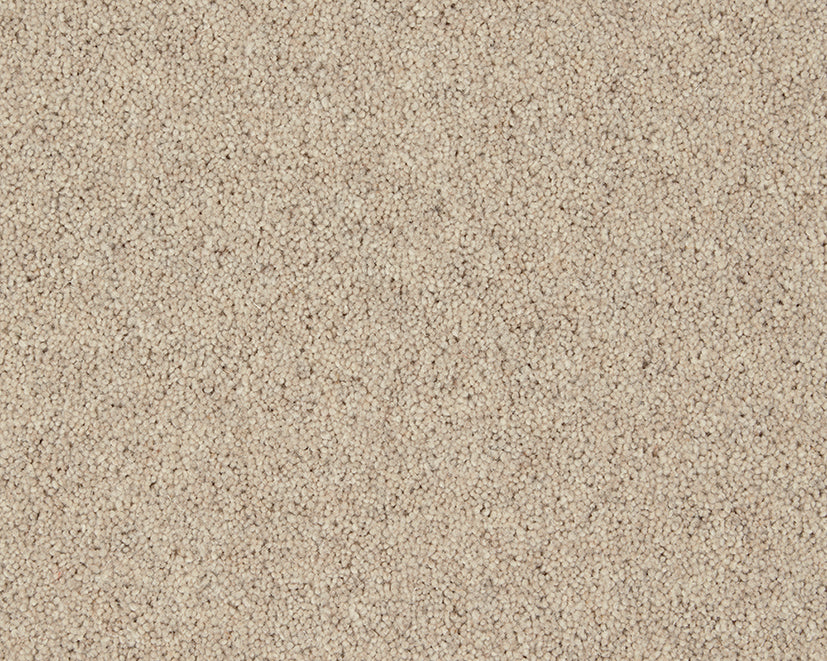 Carisbrooke Pine Nut