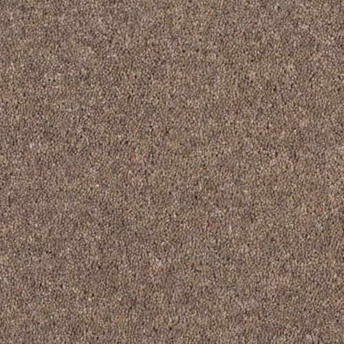 Pinnacle Twist Wild Mink – Axminster Flooring & Factory Outlet