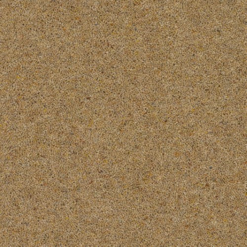 Shetland Berber Rolling Heather Free Sample