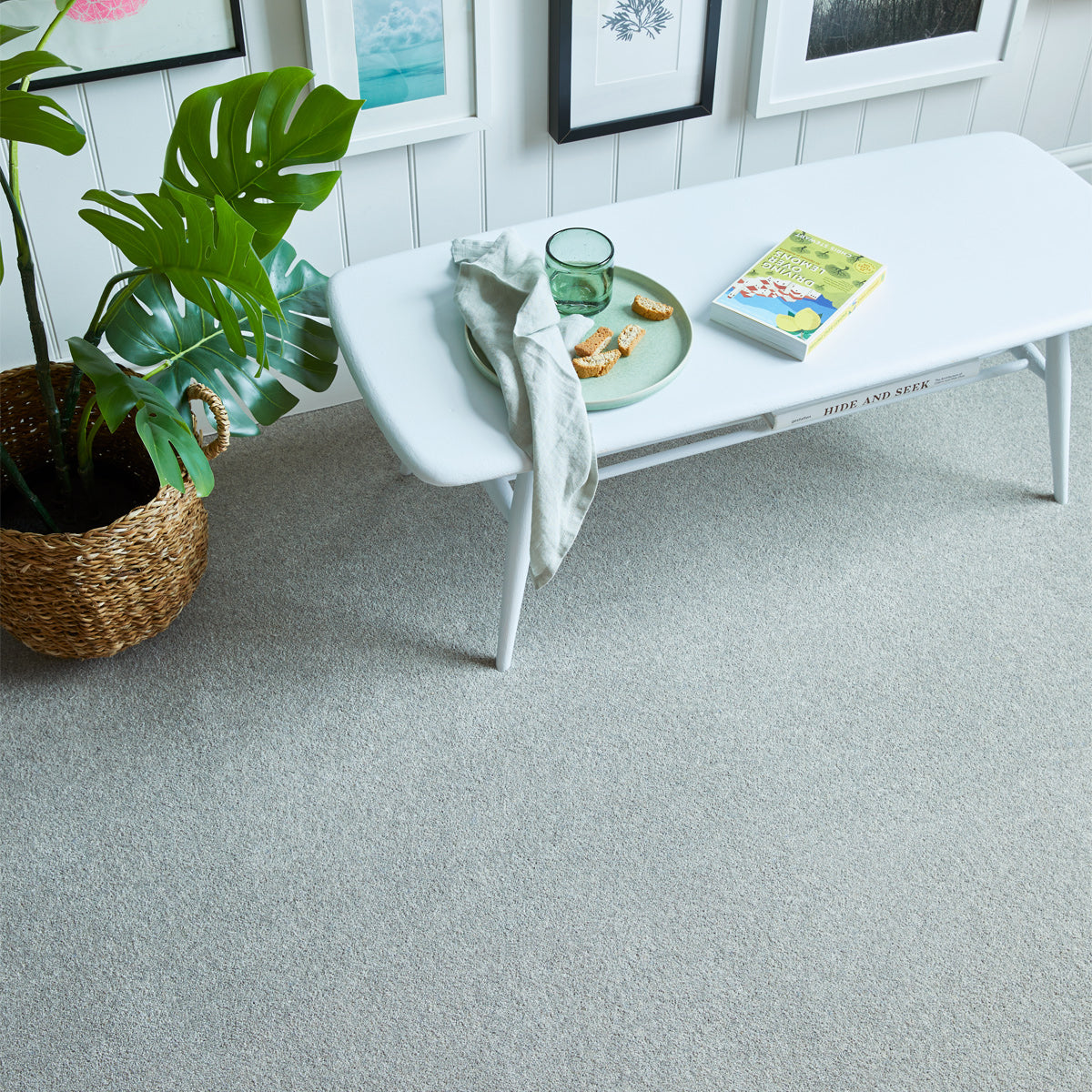 Carisbrooke Silver Fox