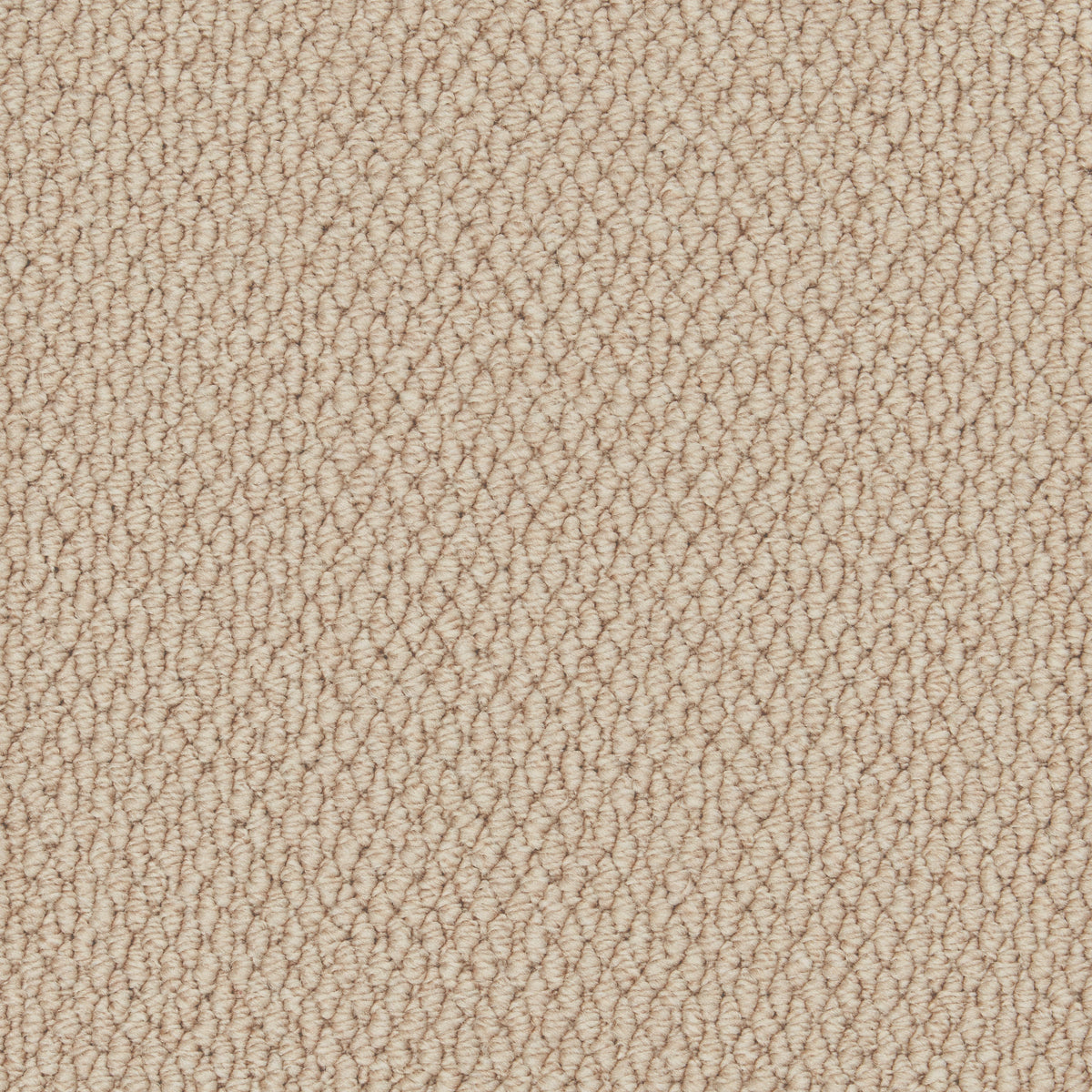 Rustic Charm 40z Tapestry 4.00m x 5.25m