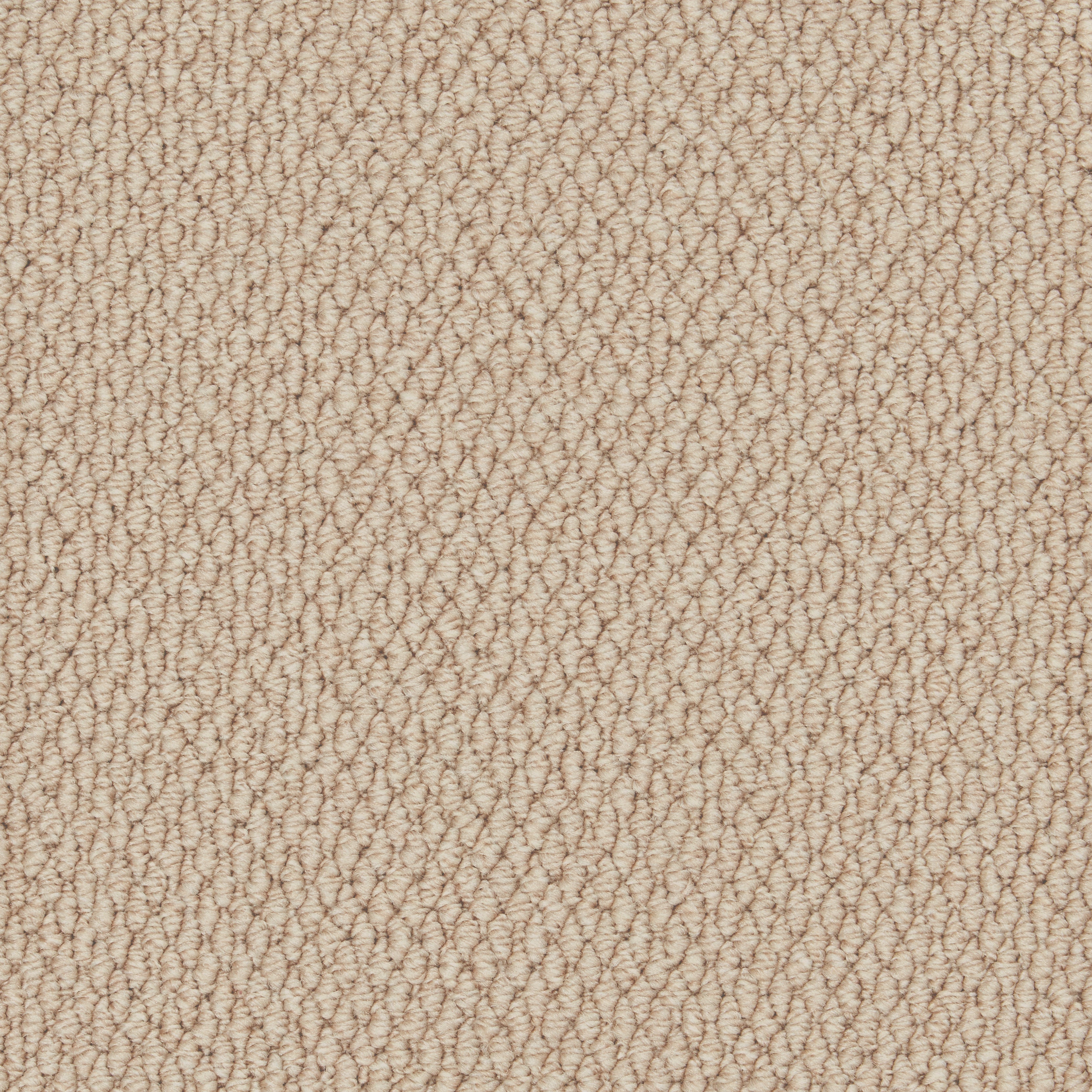 Rustic Charm 40z Tapestry 4.00m x 4.87m