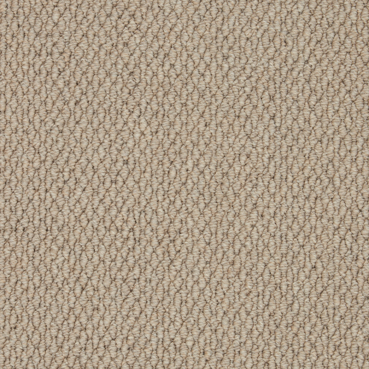 Rustic Charm 40z Thread 4.00m x 5.75m