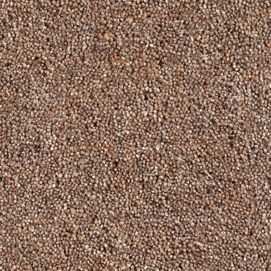 Mill Tweed Toast Free Sample