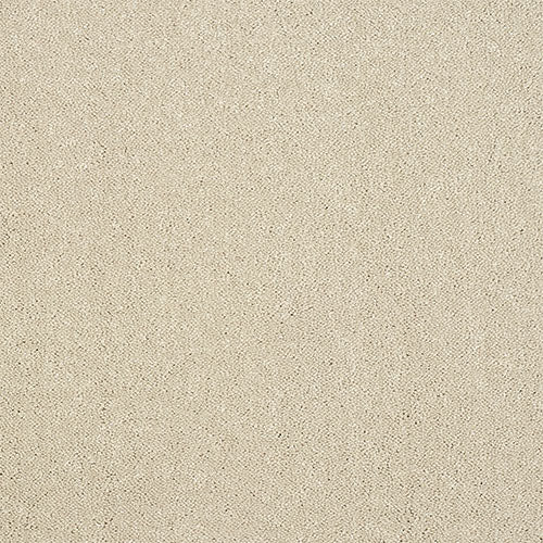 Indulgence 63oz Turtle Dove 5.00m x 2.07m